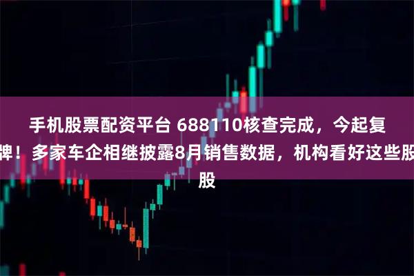 手机股票配资平台 688110核查完成，今起复牌！多家车企相继披露8月销售数据，机构看好这些股